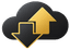BizGo
